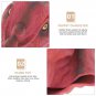 2 Pcs Children Dinosaur Toy Puppet Story Telling Soft Cosplay Storytime Finger Vinyl Realistic Toys