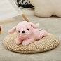 38cm Luminous Cute Plush Toys Dog LED Light Musical Soft Lullaby Stuffed Animals Pillow Toy