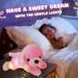 38cm Luminous Cute Plush Toys Dog LED Light Musical Soft Lullaby Stuffed Animals Pillow Toy