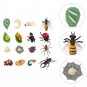4 Sets Animal Growth Cycle Turtle Decor Animals Toy Model Insect Gift Life