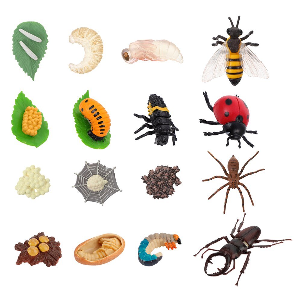 4 Sets Animal Growth Cycle Turtle Decor Animals Toy Model Insect Gift Life