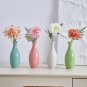 Nordic Ceramic Hydroponic Vase Living Room Decor Tabletop Flower