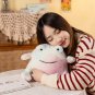 Soft Colorful Frog Plush Toys Smile Ricky Rain Frog Stuffed Animal Plushie Doll Kids