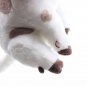 20cm Disney Cartoon Movie Moana Pua Pig Pet Plush Toy Doll Kawaii Animal Stuffed Plush Toy