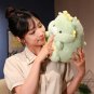 New Kawaii Pig & Dinosaur Plush Toy Stuffed Soft Animal Doll Throw Pillow Cushion Funny