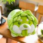 5cm/26cm Cute Japanese Vegetable Dog Plush Toys Creative Chinese Cabbage