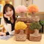 Jellycats Stuffed Plush Plants Lifelike Potted Plant Plush Doll Succulent Pine Tree Cake Bamboo