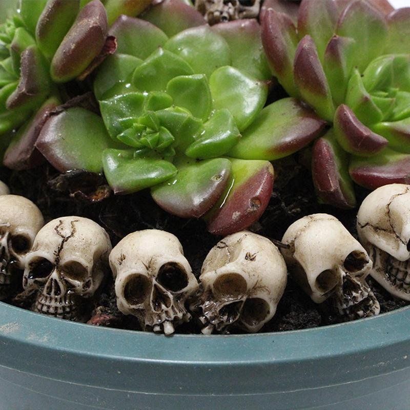 Mini Skulls Decor Skeleton Head 20 Pieces Small Mini Skulls Flowerpot Decoration