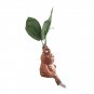 Mandrake Grass Resin Statue Landscape Ornament Art Figurine Crafts for Outdoor Garden Courtyard