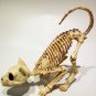 Halloween Scary Skeleton Decoration 1Pcs Crouching Cat Skeleton Cat Skull Model Creepy Animal