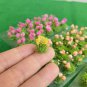 22pcs Artificial Model Flower Cluster Model Scenery Material Grass Bushes 8MM Miniature train
