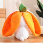 2PCS Soft Toy Strawberry Bunny Plush Easter Bunny Stuffed Animal Cute Rabbit Plush Gift