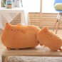 40cm Kawaii Cat Pillow with Zipper and PP Cotton Biscuits Plush Cat Animal Doll Kids Child Baby