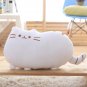 40cm Kawaii Cat Pillow with Zipper and PP Cotton Biscuits Plush Cat Animal Doll Kids Child Baby
