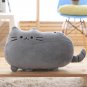 40cm Kawaii Cat Pillow with Zipper and PP Cotton Biscuits Plush Cat Animal Doll Kids Child Baby