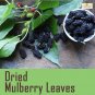 50 Organic Dry Mulberry Leaves Fish Shrimps Silk Worm Dried Leaf Food Aquarium