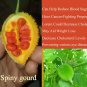 Rare Spiny Gourd Momordica dioica Balsam Pear Bear karkotaki Baby Bitter seeds