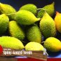 Rare Spiny Gourd Momordica dioica Balsam Pear Bear karkotaki Baby Bitter seeds