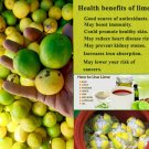 10 Fresh Lime Tree Seeds Potted Plant Organic Bonsai Rare Garden Fruit 10 Fresh Lime Tree Seeds Potted Plant Organic Bonsai Rare Garden Fruit
