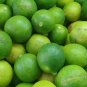 10 Fresh Lime Tree Seeds Potted Plant Organic Bonsai Rare Garden Fruit