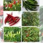 Super Hot Pepper Seeds Rare variety list Carolina Reaper Ghost Chili White Bird