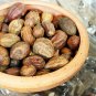 Dried Terminalia Chebula Seed Chebulic Myrobalan Harde Haritaki Fudco 100g 3.5Oz