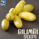 15 Seeds Averrhoa Bilimbi Cucumber Tree Pickle Tree Sorrel Bilimbi Kamias 15 Seeds Averrhoa Bilimbi Cucumber Tree Pickle Tree Sorrel Bilimbi Kamias