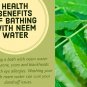Dried Neem Leaves Azadirachta Indica Herbal Drink Tea Natural Skin Care Leaf