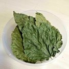 Dry Mulberry Leaves Organic Protein Food Crystal Red Cherry Shrimp Aquarium Leaf