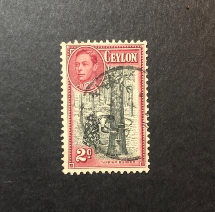 Very Rare  King George VI Ceylon postage stamp Sri Lanka Stamps  2C 1800s 1900s