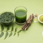 Neem Fresh Seeds Herbal Nimtree Azadirachta Iindica Margosa Grow your own Plant