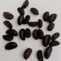 4+ SEEDS Very Rare Diospyros ebenum Ceylon Fresh - 3- 10 Days Fast Shipping