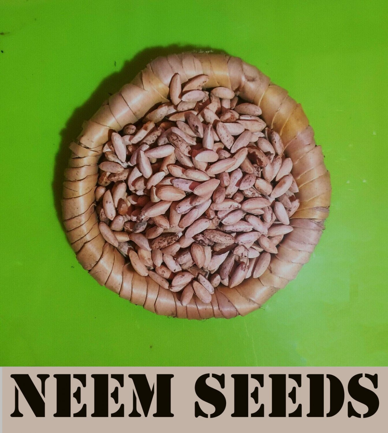 Dried Neem Tree Seeds Herbal  Nimtree Azadirachta  Lilac 50g to 1Kg & 8Kg Plant