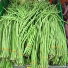 Rare Long Snake Beans Seeds Home Gardening Easy Planting Vegetable Growing Yard Rare Long Snake Beans Seeds Home Gardening Easy Planting Vegetable Growing Yard