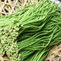 Rare Long Snake Beans Seeds Home Gardening Easy Planting Vegetable Growing Yard