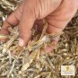 Dried Anchovy Sprats Fish Seafood Fresh Sun Dried Cleaned Natural Sealed Treat