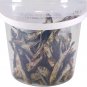 Dried Anchovy Sprats Fish Seafood Fresh Sun Dried Cleaned Natural Sealed Treat