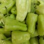 Capsicum annum Hungarian Yellow Wax Paper Seeds Capsicum  Well Growth Pure
