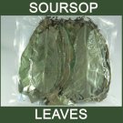 Hojas de Guanabana Tea Grade Graviola Dried Soursop Leaves Annona muricata Leaf