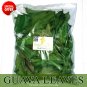 Dried Guava Leaves Organic Homemade Fresh Green Anti diabetic Ceylon Tea Leaf