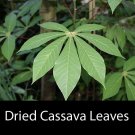 Ceylon Dried Herbal Natural  Cassava Leaves( Manioc Leaves) 100% Organic Product