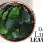 Dried Kaffir Lime Leaves 9 oz All Natural Non-Irradiated Ceylon Tea Premium Herb