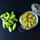 Averrhoa Bilimbi Cucumber Tropical Rare Fruit Pickle Tree Sorrel 50+ SEEDS