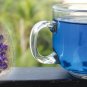 Clitoria Ternatea - Blue Butterfly Pea 50/100 Seeds Vine 100% New Organic Ceylon