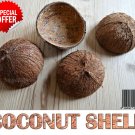 Natural Coconut Shell Eco Friendly  Pet Feeder DIY Home Deco Drink Sri Lanka