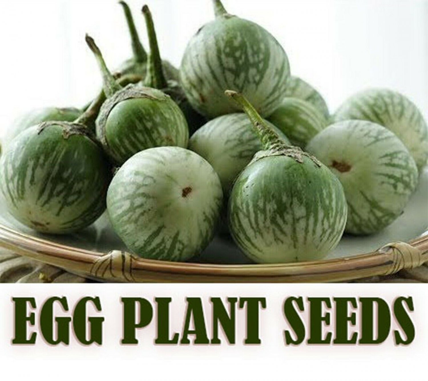 150+ Thai Egg Plant Seeds Vegetable Organic Brush Planting  95% - Free Shipping