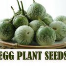 150+ Thai Egg Plant Seeds Vegetable Organic Brush Planting  95% - Free Shipping