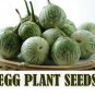150+ Thai Egg Plant Seeds Vegetable Organic Brush Planting 95% - Free Shipping