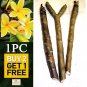 5 Plumeria Cuttings 8" -12" white red pink rainbow yellow Hawaiian frangipani