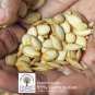 25+ Pumpkin Seeds Vegetable Sweet Green Pumpkins Vine 100% Organic Plant NO GMO